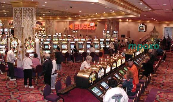 mpoxo App – Casino in Your Pocket
